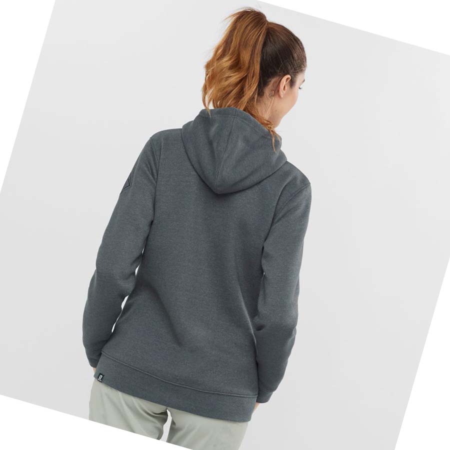 Sudadera Con Capucha Salomon ESSENTIAL WARM SALOMON Mujer Grises | MX 2515JPQ